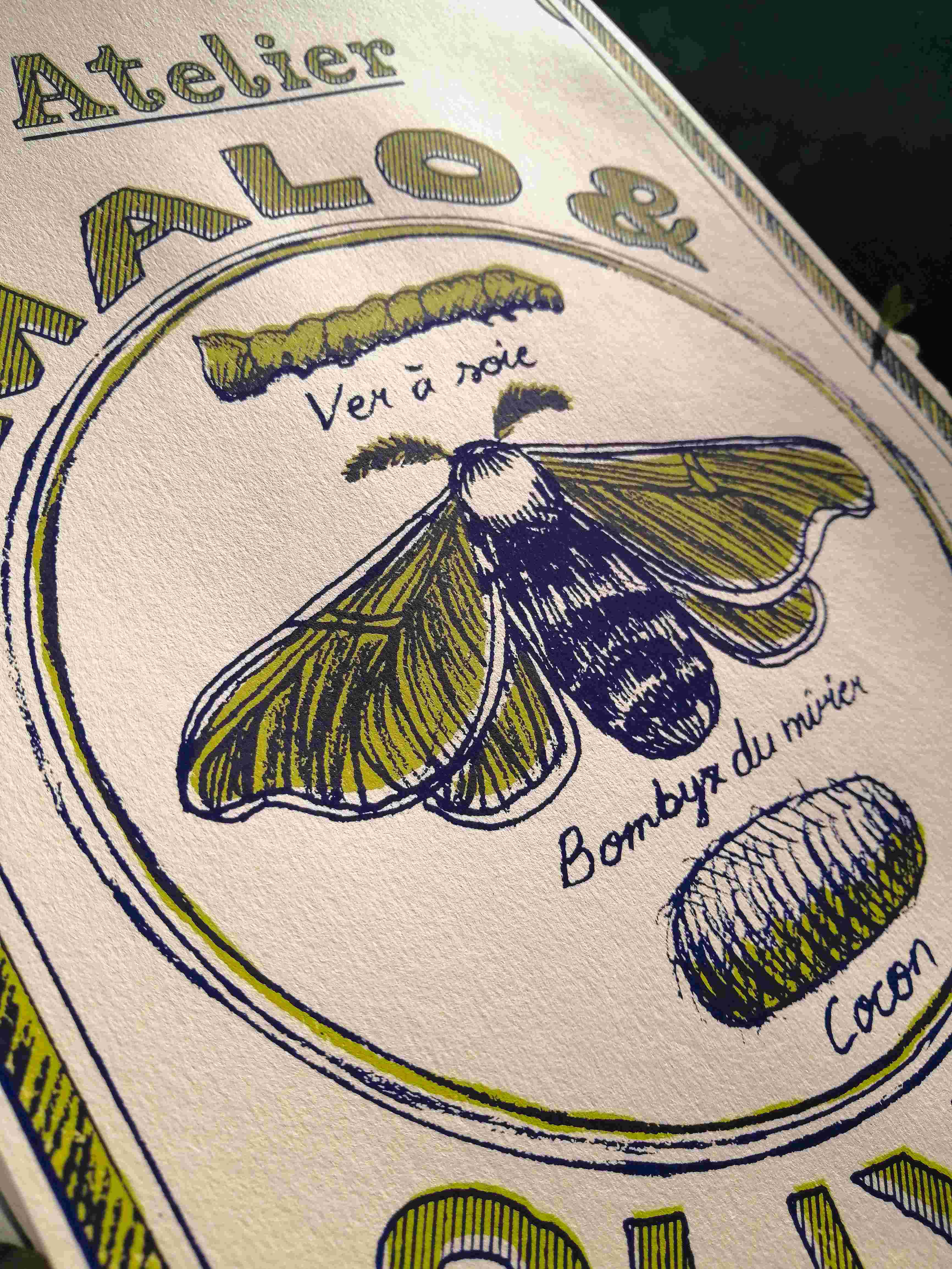 Gros plan sur le bombyx du mûrier illustré en sérigraphie deux couleurs