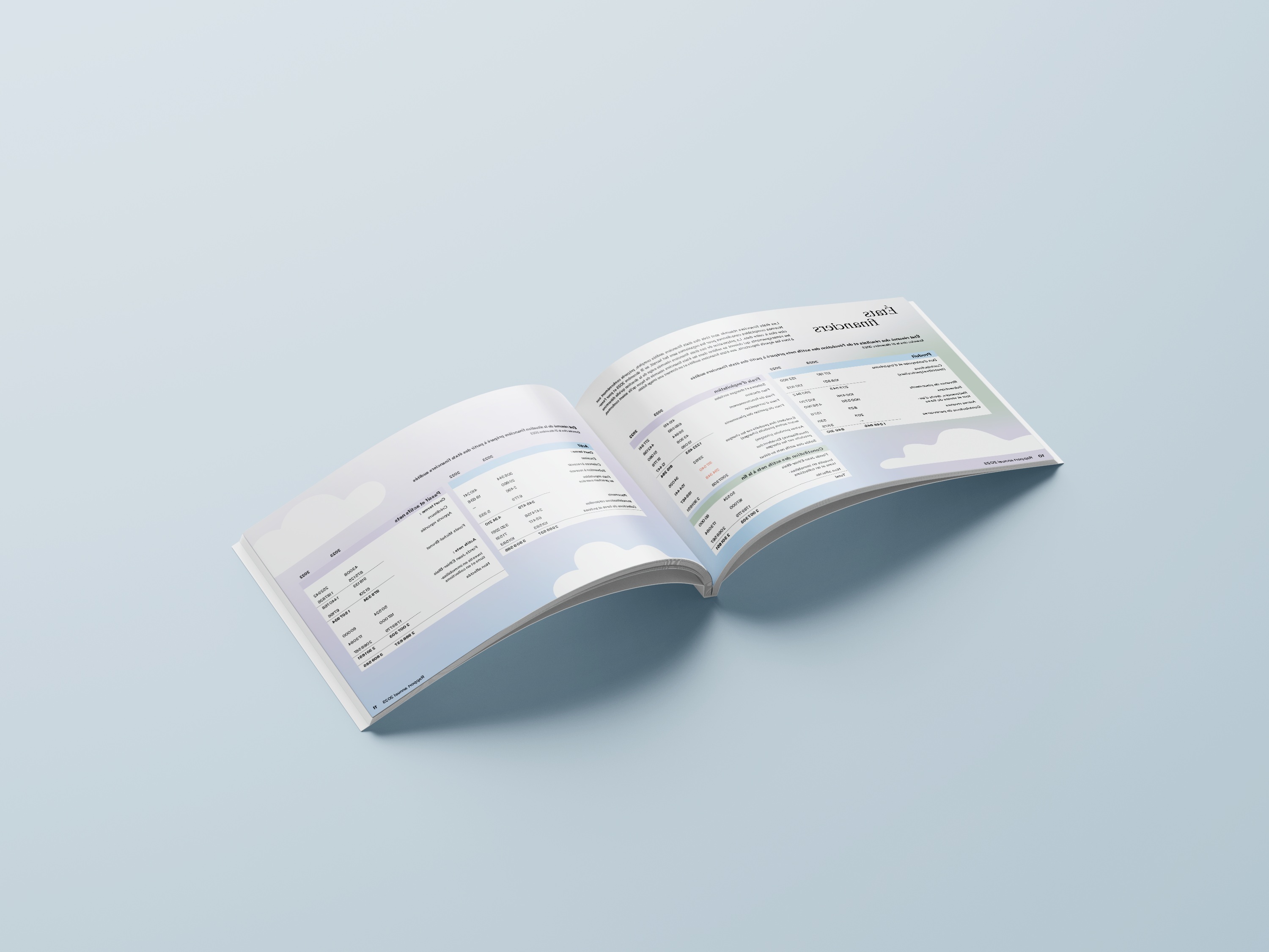 Rapport annuel Relief imprimé ouvert en angle